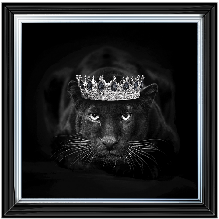 Royal Jaguar