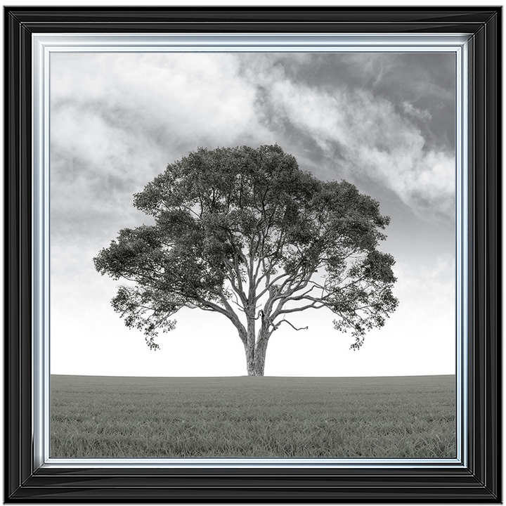 LS190 Lone Tree 1