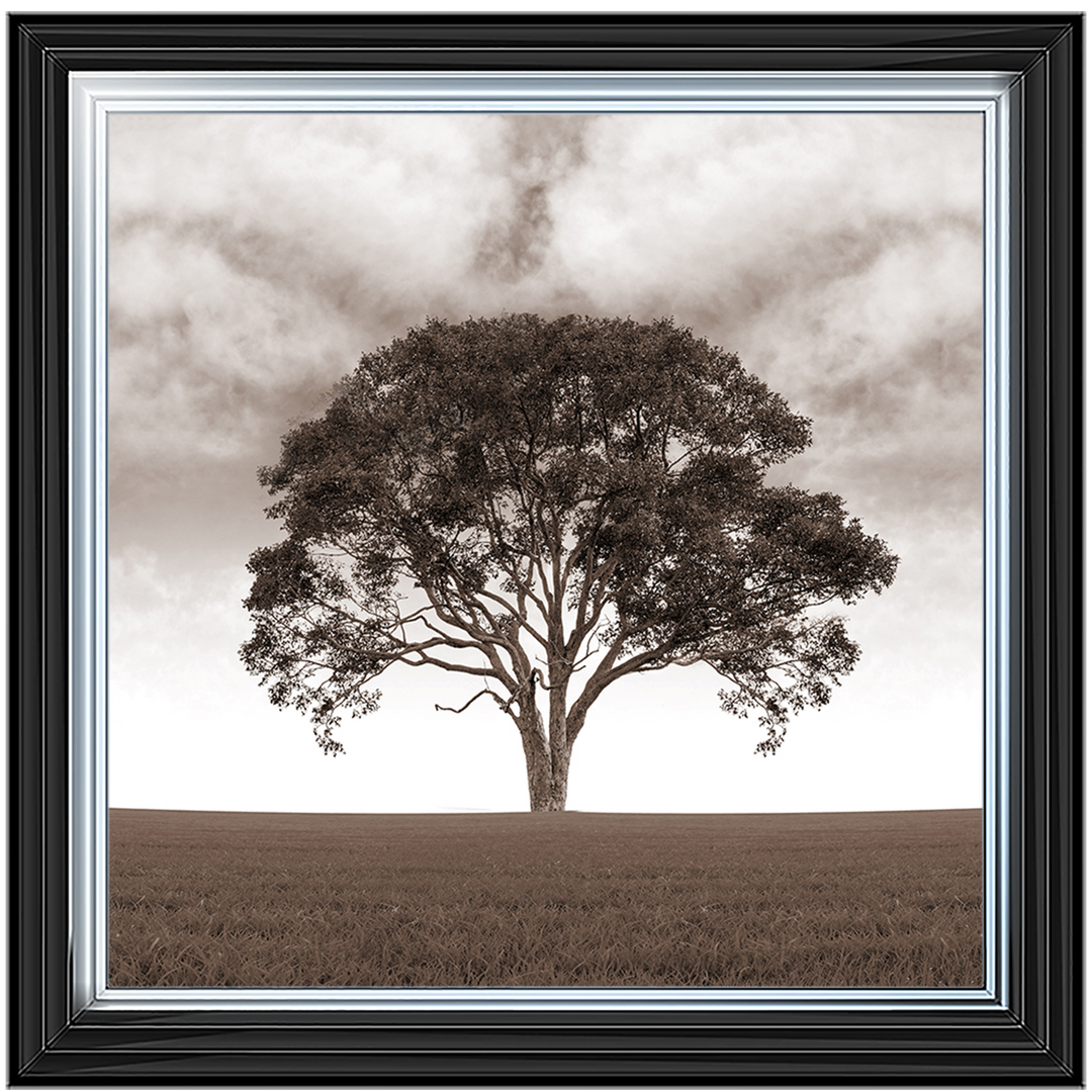 LS189 Lone Tree
