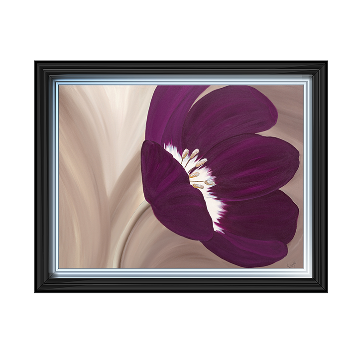 Velvet Poppy