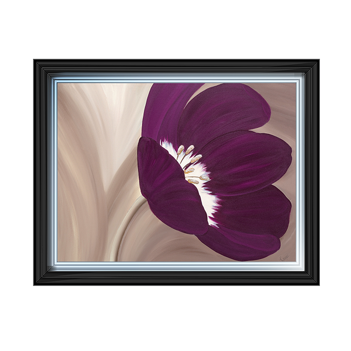Velvet Poppy