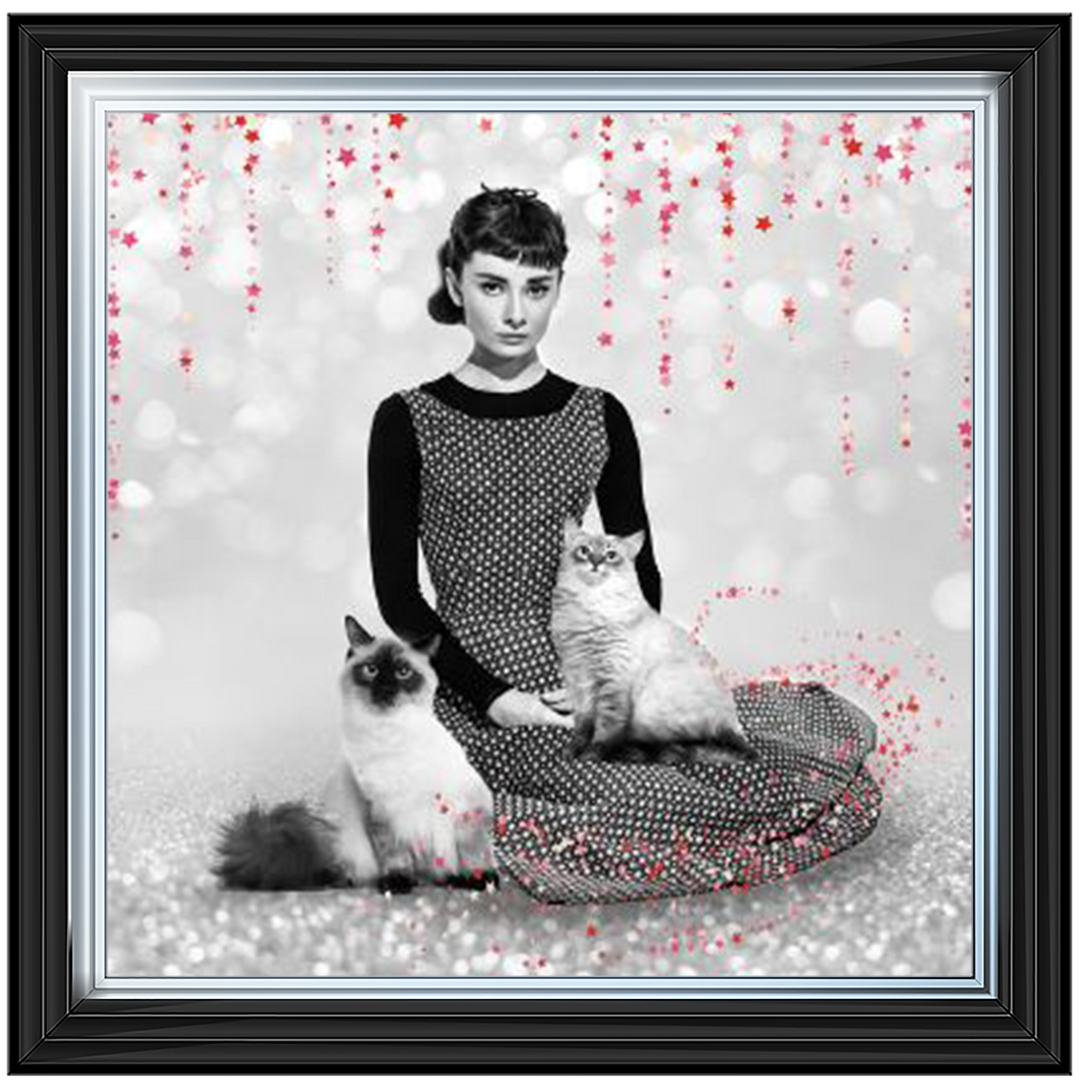 IC011 Audrey and cats