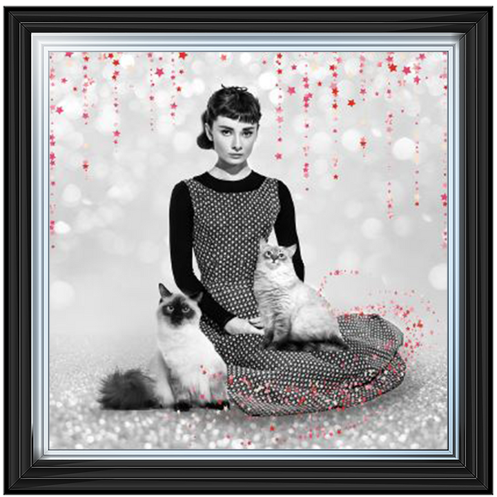 IC011 Audrey and cats