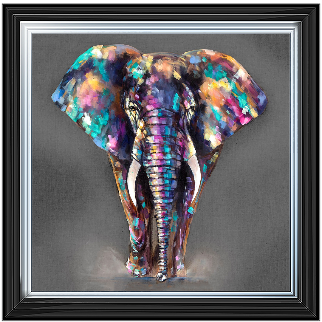 AN340 Colourful Elephant