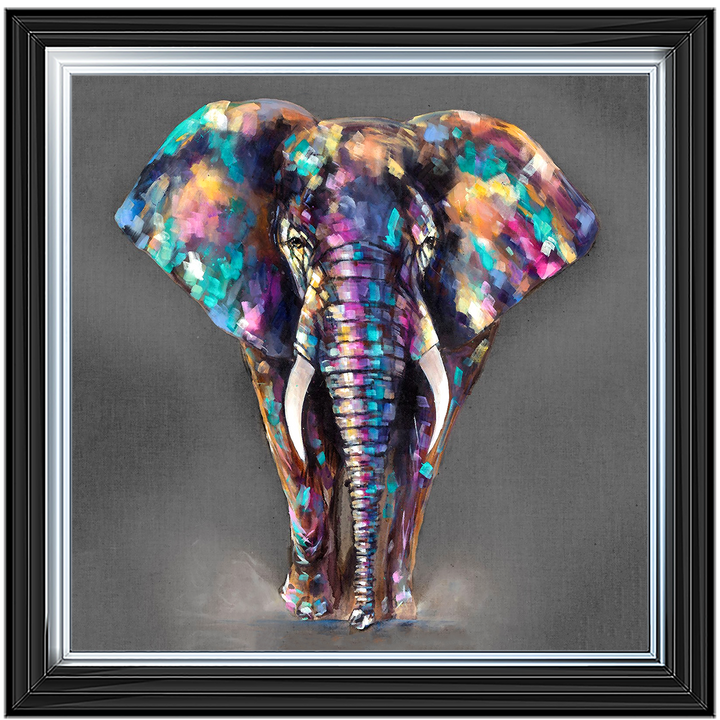AN340 Colourful Elephant
