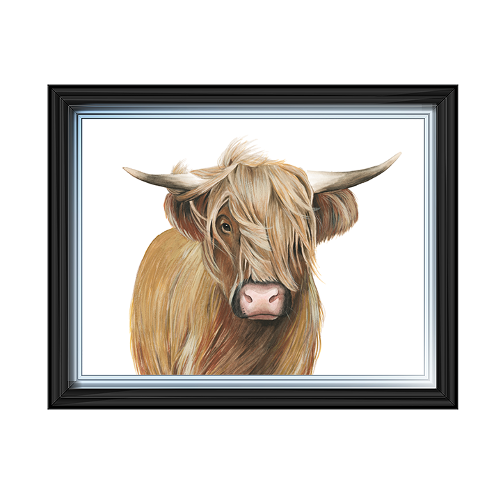 Highland Cattle I