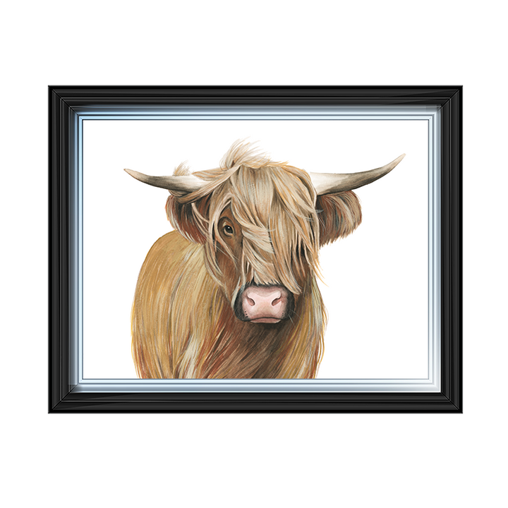 Highland Cattle I