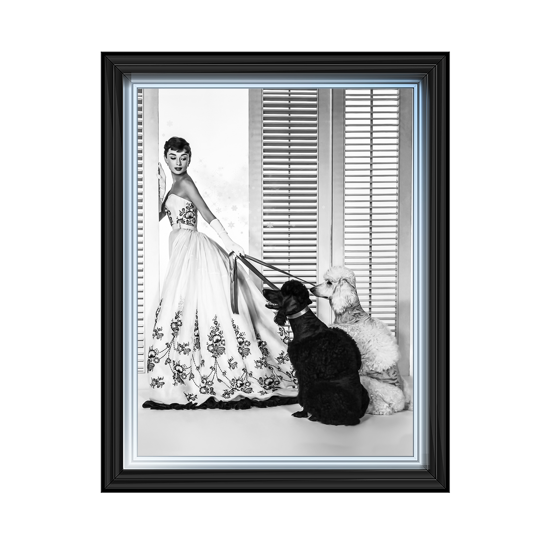 IC005 Audrey Hepburn Poodles