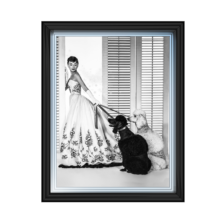 IC005 Audrey Hepburn Poodles