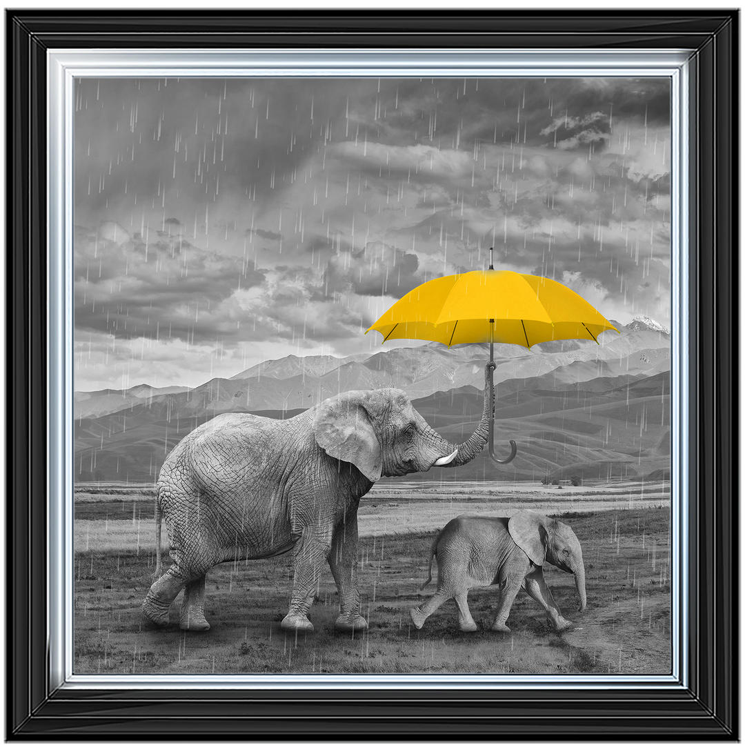 AN343 I've got you (yellow) II