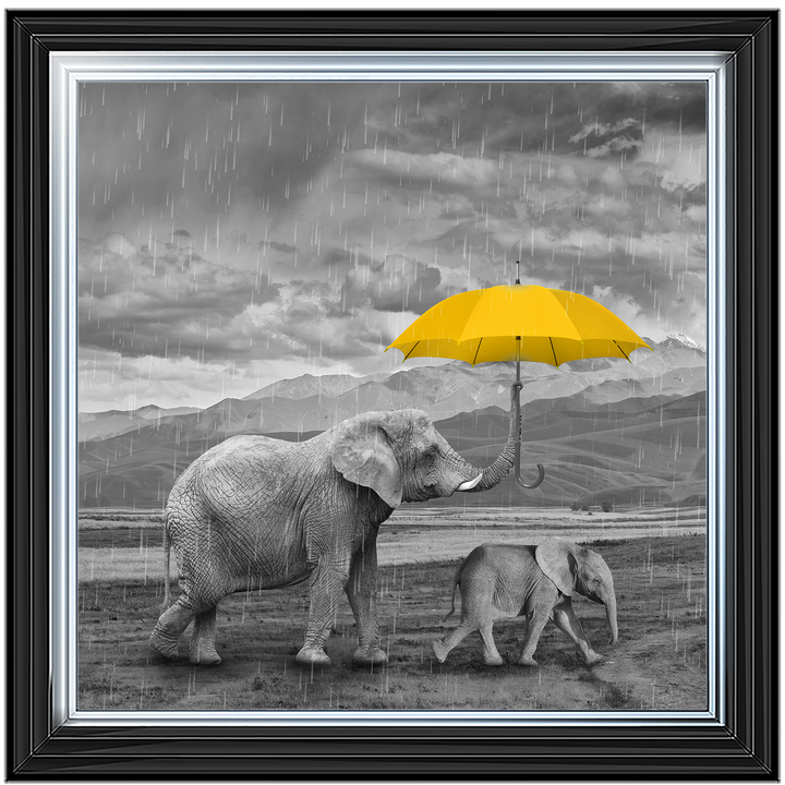 AN343 I've got you (yellow) II