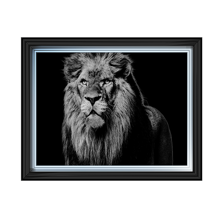 Dark Night Leo