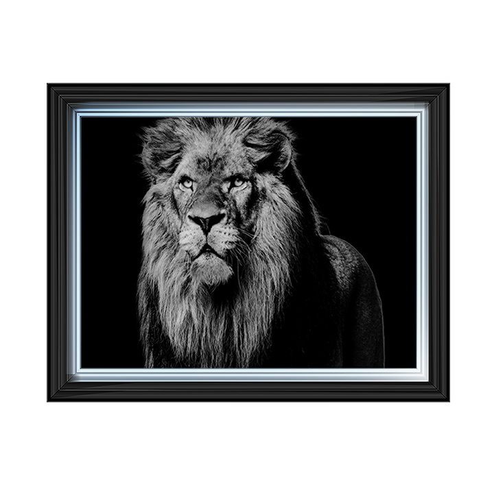 Dark Night Leo