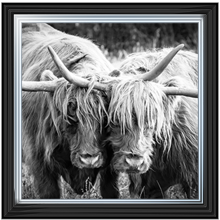 AN282 Highland Cow Love