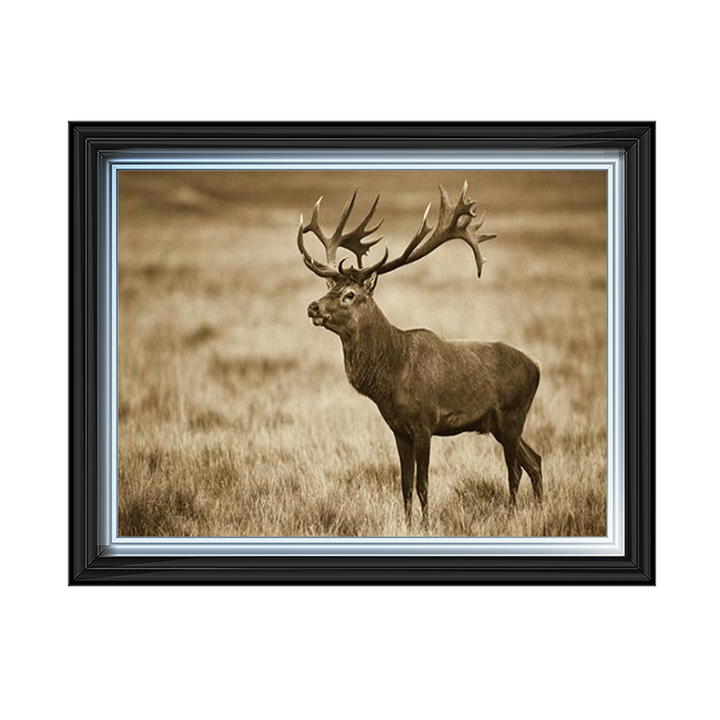 AN064 Red Deer stag, Cogenhagen, Denmark