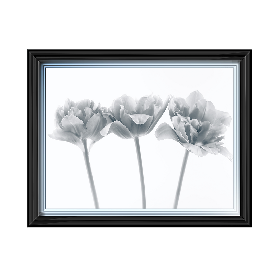 Set of 3 flowers II