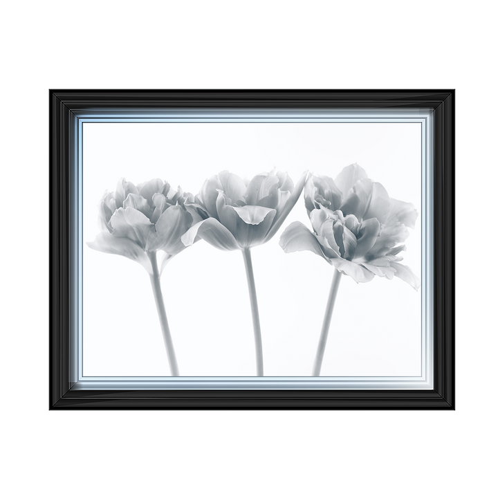 Set of 3 flowers II