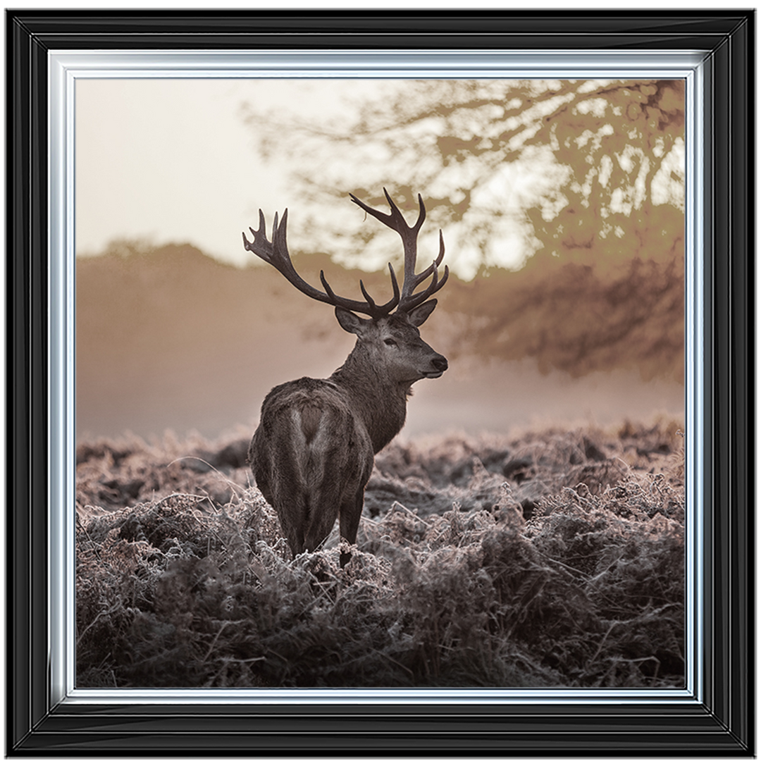 Single Stag