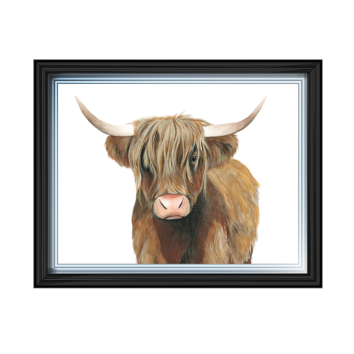 AN009 Highland Cattle II