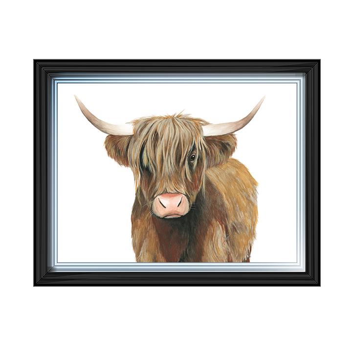 AN009 Highland Cattle II