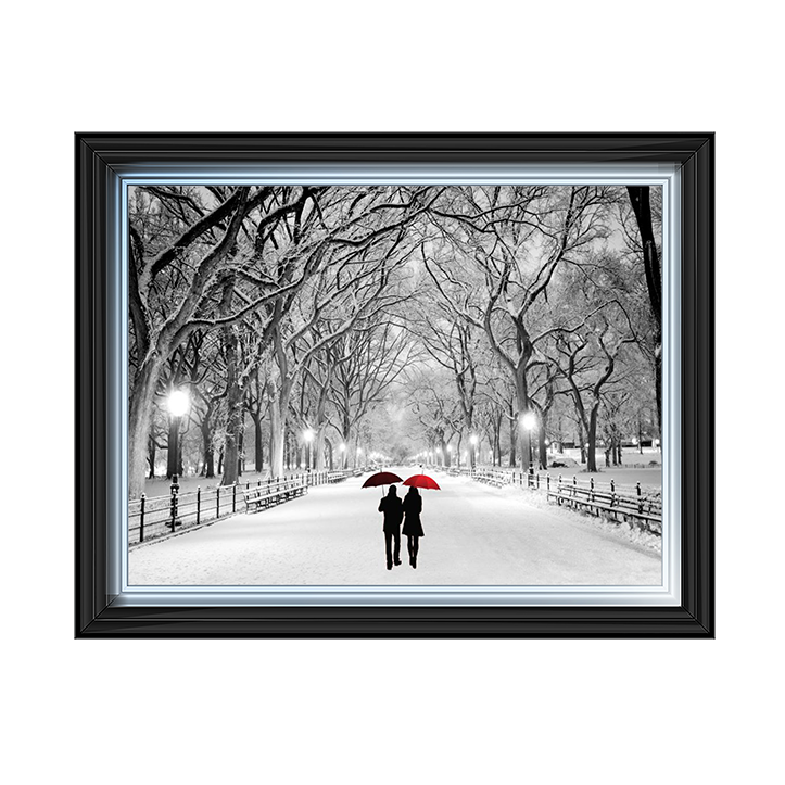 Walk through the snowy park