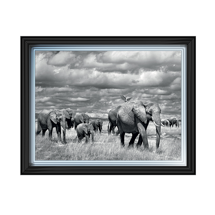 Elephants of Kenya