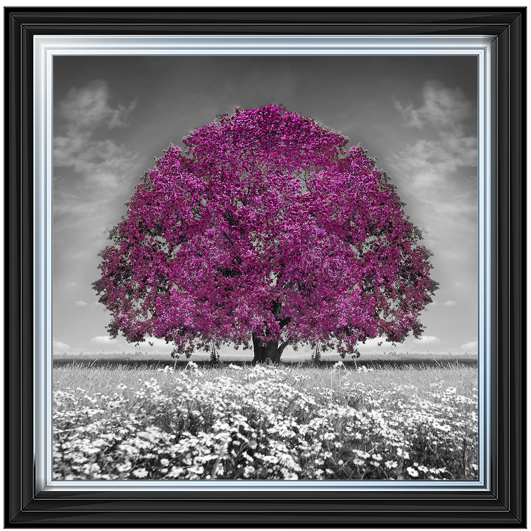 LS271 Purple Oak Tree