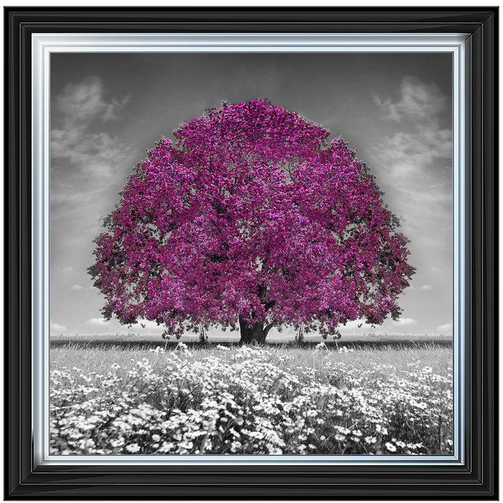 LS271 Purple Oak Tree