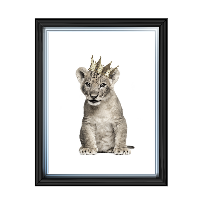 Princess Cub I