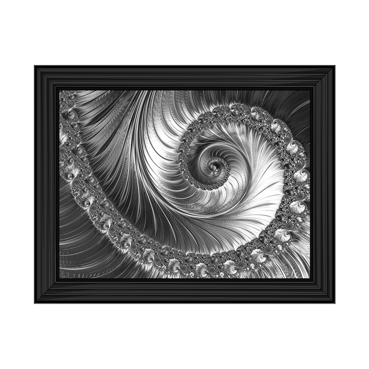 Peacock Spiral Black & White