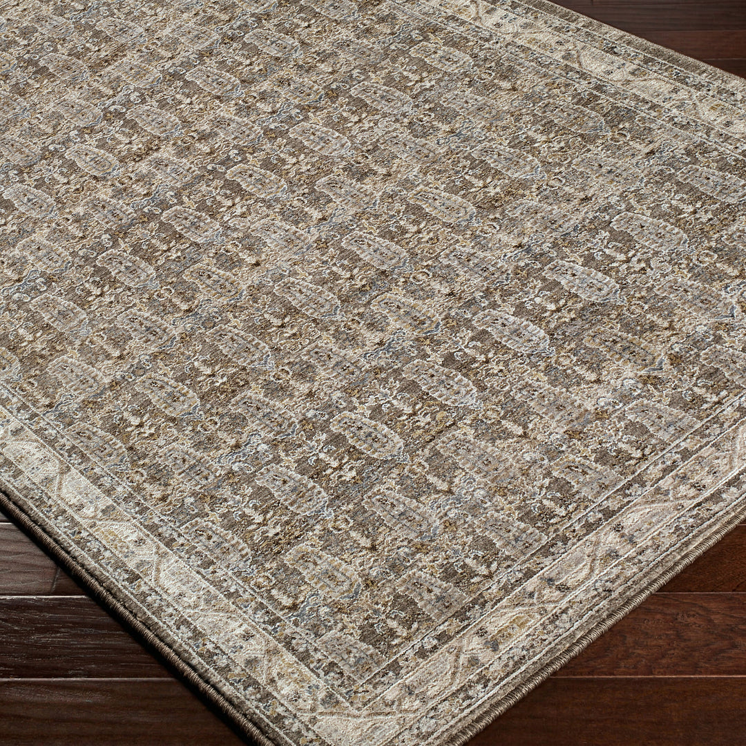 Contemporary Arda Vintage Traditional Rug