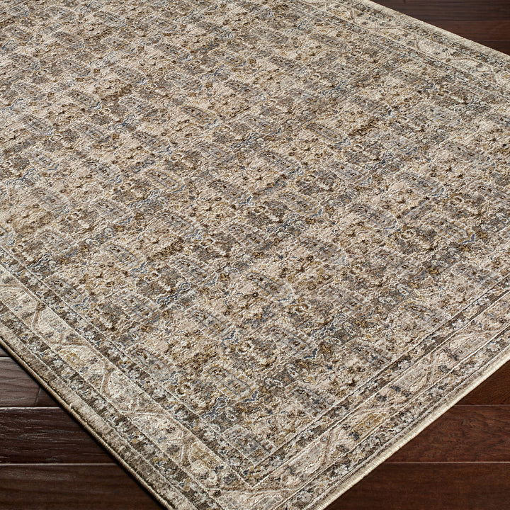 Modern Arda Vintage Traditional Rug