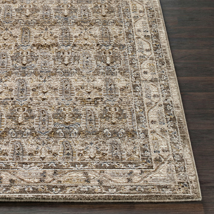 Elegant Arda Vintage Traditional Rug