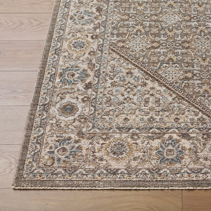 Luxury Arda Vintage Traditional Rug