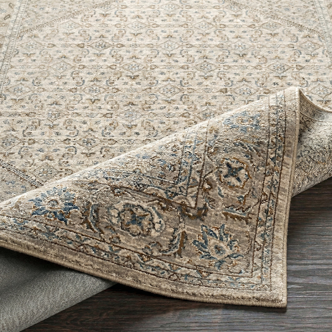 Classic Arda Vintage Traditional Rug