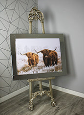 Highland Cow pair