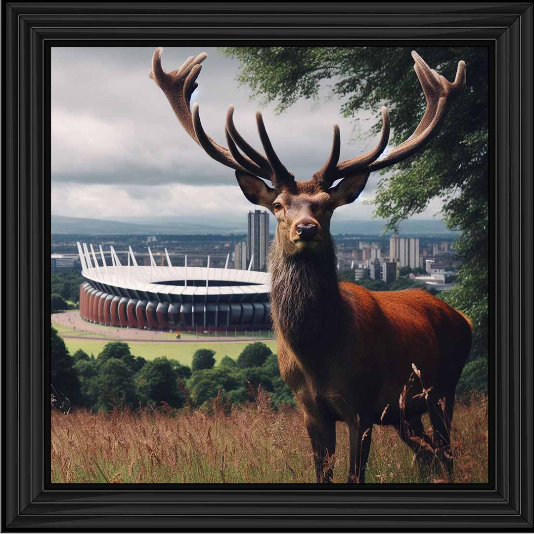 AN1108 STAG AT STADIUM
