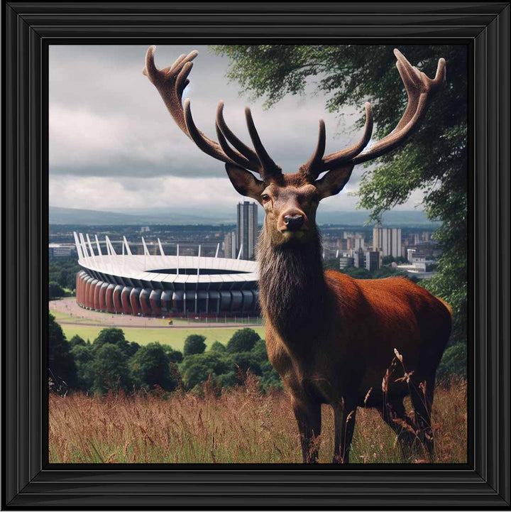 AN1108 STAG AT STADIUM