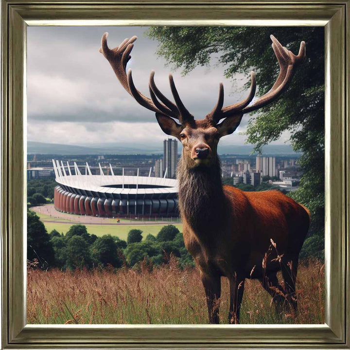 AN1108 STAG AT STADIUM