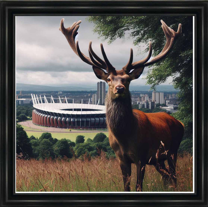 AN1108 STAG AT STADIUM