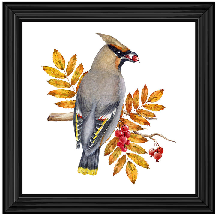AN1507 BIRD WITH FRUIT & LEAVES