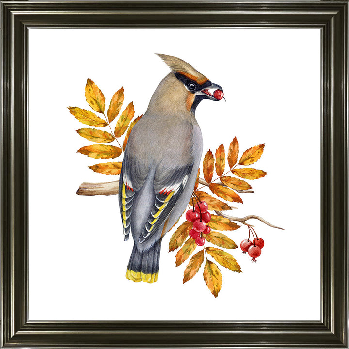 AN1507 BIRD WITH FRUIT & LEAVES