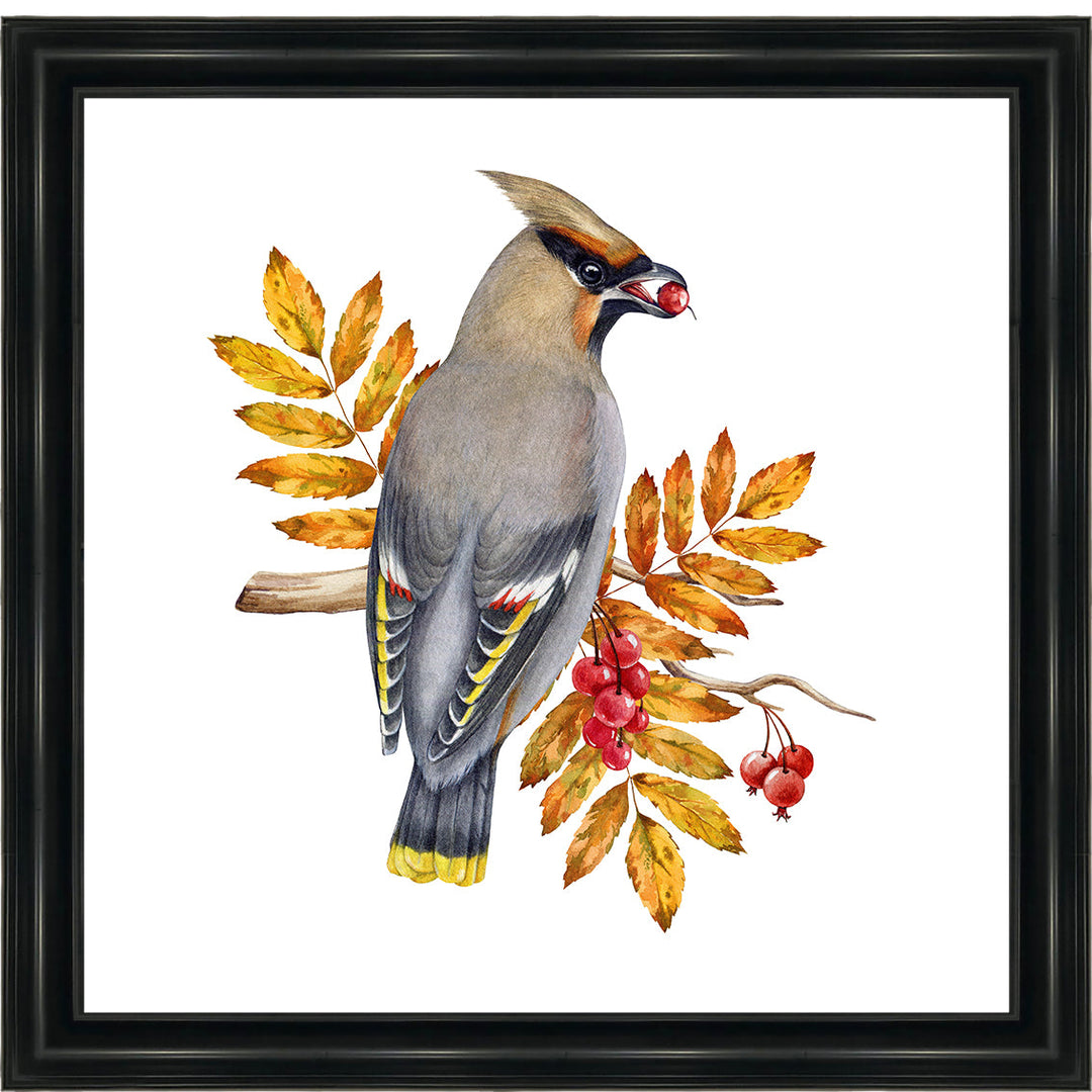 AN1507 BIRD WITH FRUIT & LEAVES