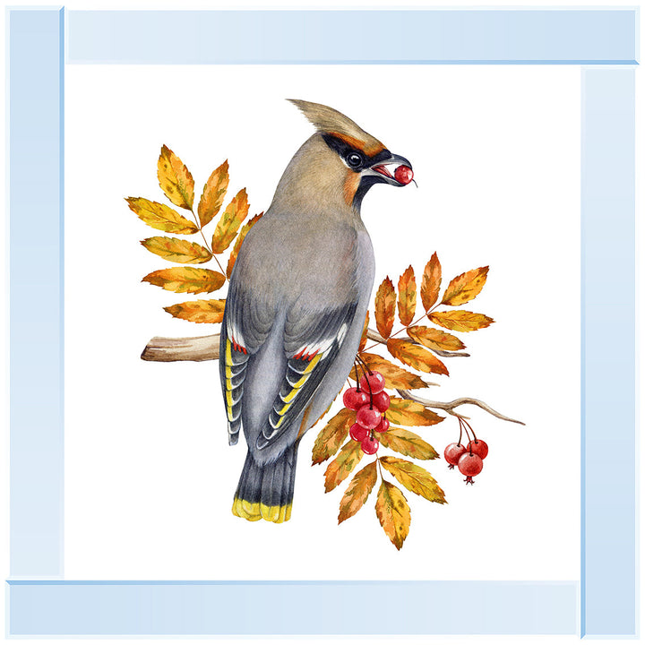 AN1507 BIRD WITH FRUIT & LEAVES