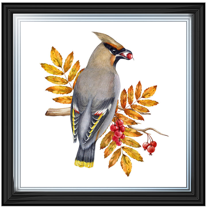 AN1507 BIRD WITH FRUIT & LEAVES