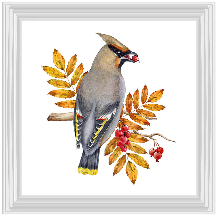 AN1507 BIRD WITH FRUIT & LEAVES