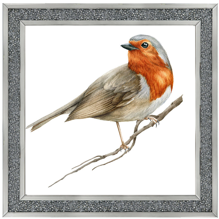 AN1508 ROBIN ON BRANCH