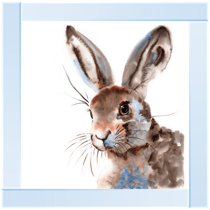 AN1509 BUNNY RABBIT