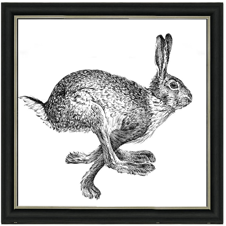 AN1515 BUNNY RABBIT II