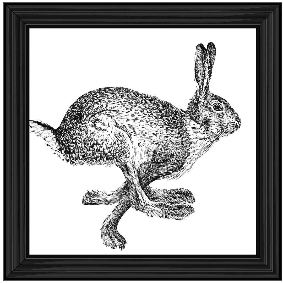 AN1515 BUNNY RABBIT II